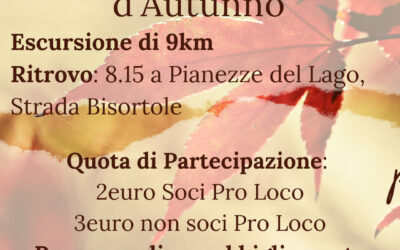 Passeggiata d’Autunno