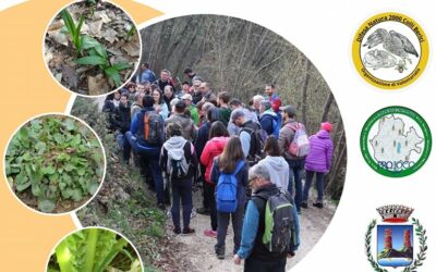 Passeggiata Alla ricerca delle erbe spontanee