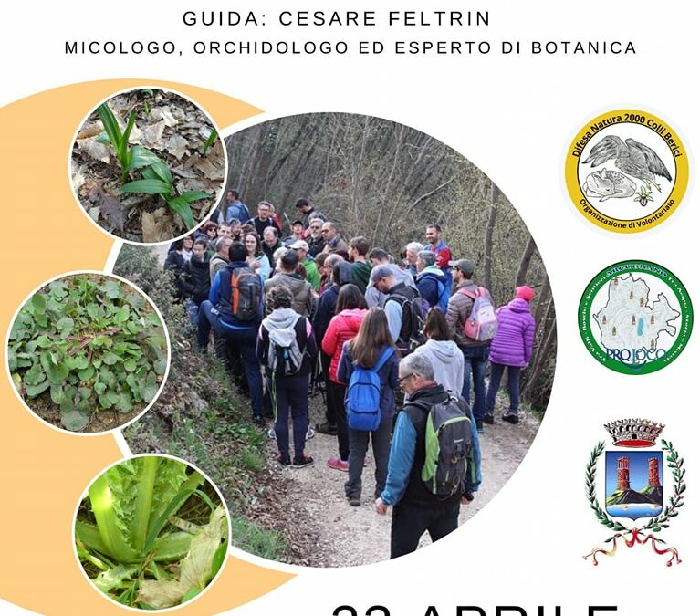 Passeggiata Alla ricerca delle erbe spontanee