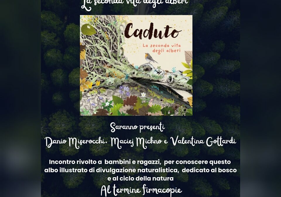 Caduto, la seconda vita degli alberi