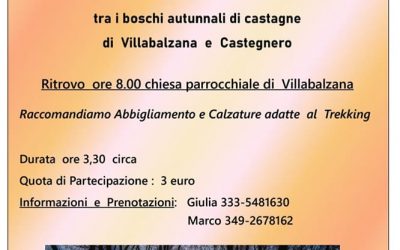 Escursione tra i boschi di Villabalzana e Castegnero