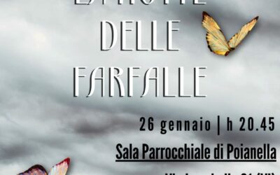 La notte delle farfalle