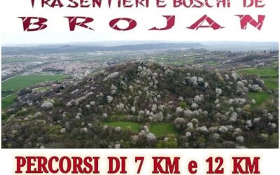 Caminada tra sentieri e boschi de Brojan