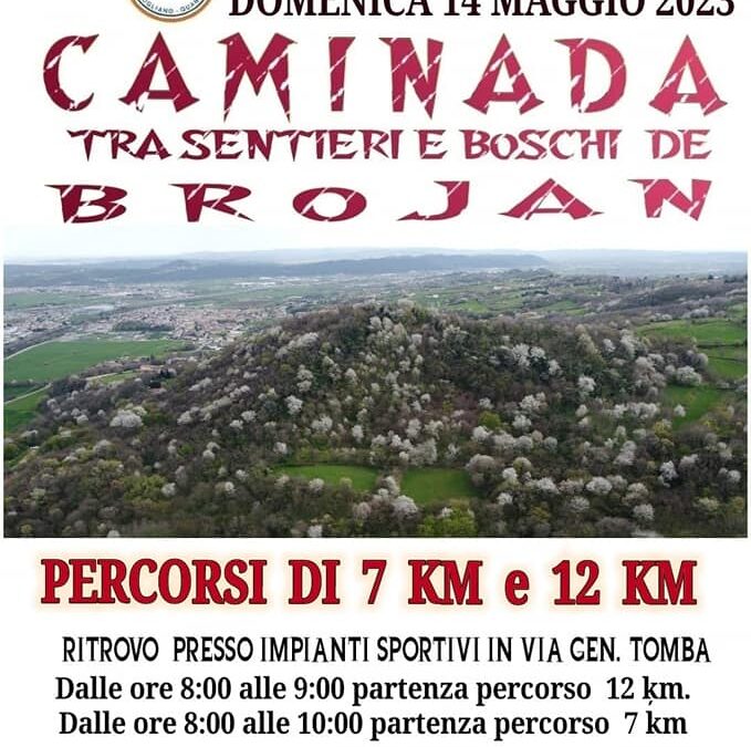 Caminada tra sentieri e boschi de Brojan