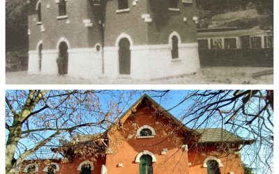 Conoscete già il progetto del gruppo giovani della Pro Loco Alte Montecchio? 
Da…