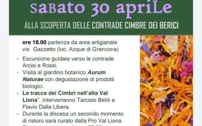 Erbe spontanee in Val Liona