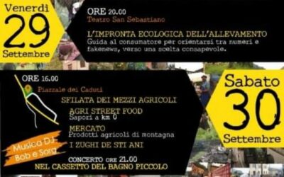 Festa contadina