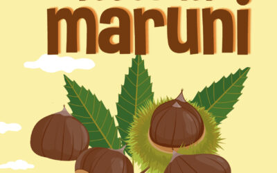 41^ Festa dei maruni a Alvese di Nogarole Vicentino