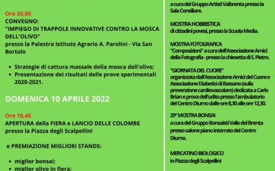 Fiera mercato dell’olivo a Pove del Grappa