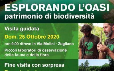 La Pro Loco Zugliano propone domenica 25 ottobre una visita guidata alla scopert…