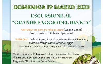 Escursione al Grande Faggio del Broca