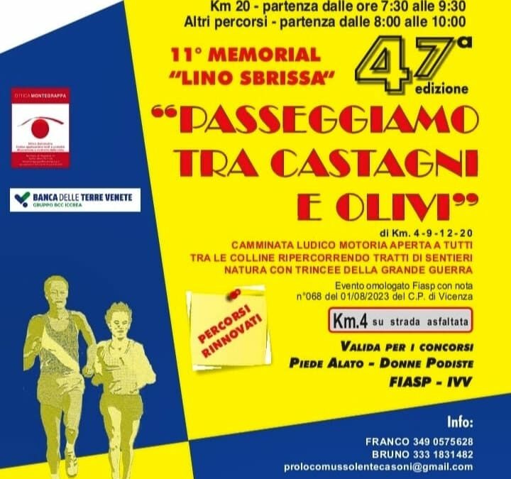 Passeggiamo tra castagni ed olivi