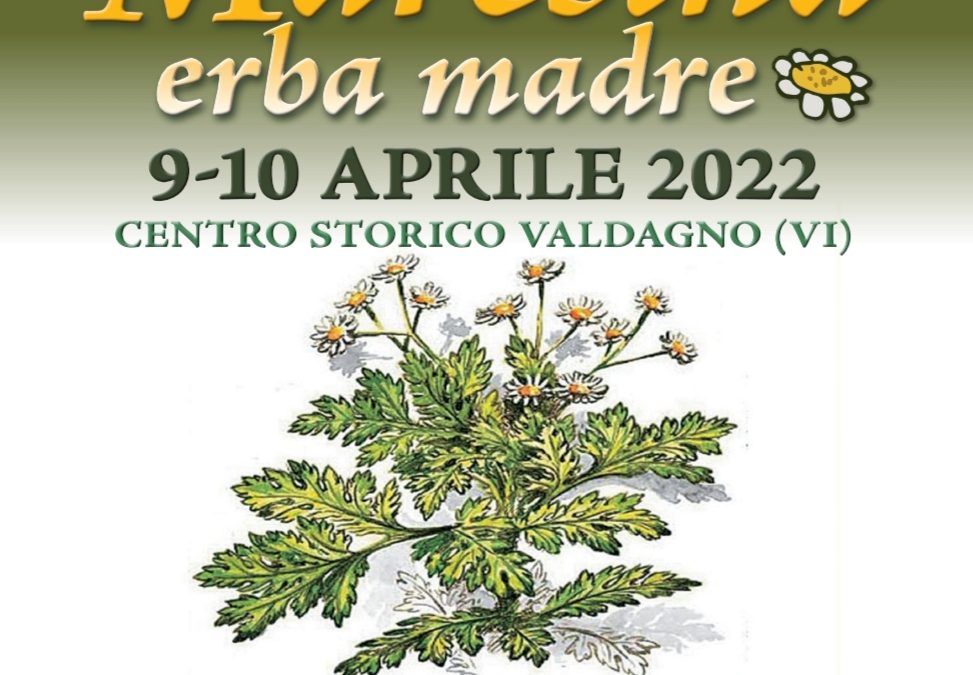 9^ Festa della Maresina a Valdagno