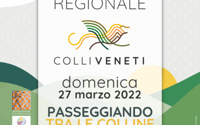 Passeggiando tra le colline di Marostica