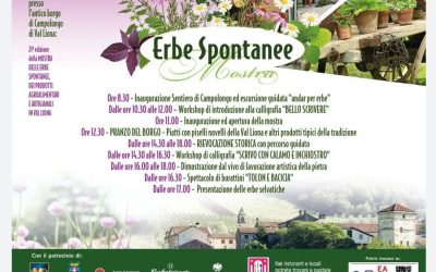 Mostra delle erbe spontanee della Val Liona