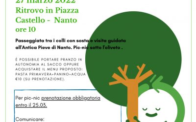 Passeggiata e pic-nic in Oliveto a Nanto