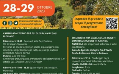 Camminata tra gli olivi