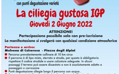 LA CILIEGIA GUSTOSA IGP Passeggiata tra i sentieri di Colceresa
