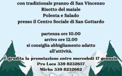 Passeggiando nei boschi a San Gottardo