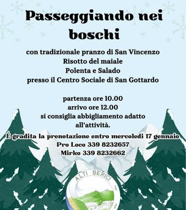 Passeggiando nei boschi a San Gottardo
