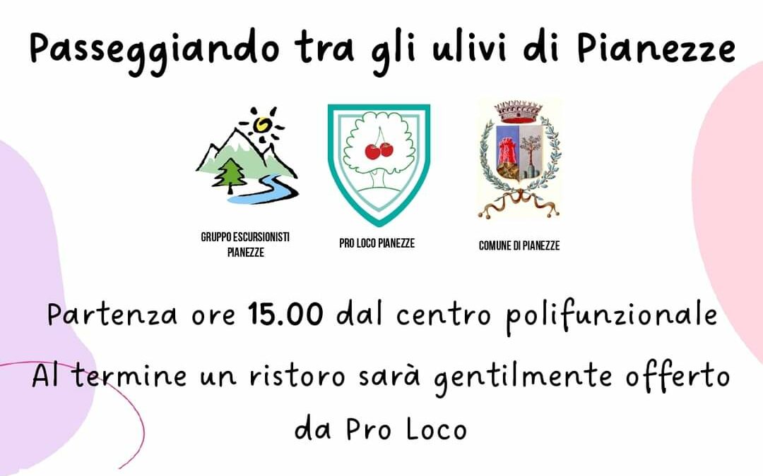 Passeggiando tra gli Ulivi di Pianezze