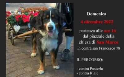 Sfilata del Bovaro a Vicenza