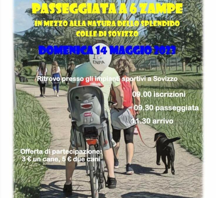 Passeggiata a 6 zampe Sovizzo