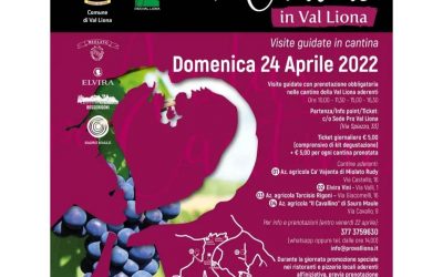 Andar per cantine in Val Liona