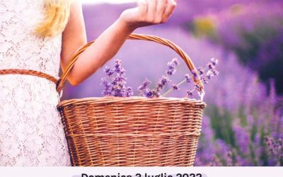 TRA I FILARI DI LAVANDA a Valdagno