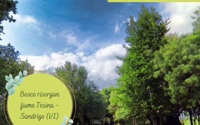 Vi ricordiamo che oggi è l’ultimo giorno per aderire alle passeggiate proposte…