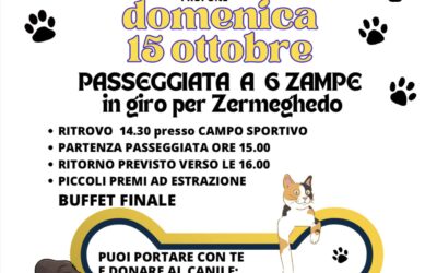 Passeggiata a 6 zampe