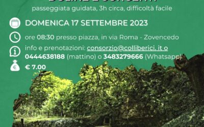 A Zovencedo: tra boschi, doline e sorgenti