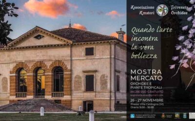 MOSTRA MERCATO ORCHIDEE E PIANTE TROPICALI a Villa Caldogno